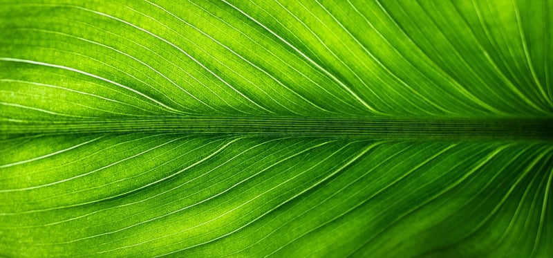 Eco-Friendly Solutions