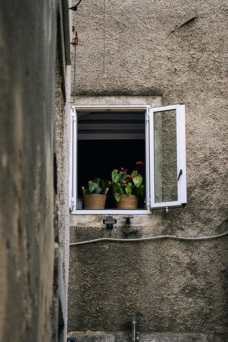 Neighborhood Plant Swaps