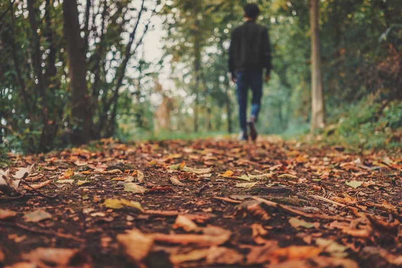 Autumn Leaves